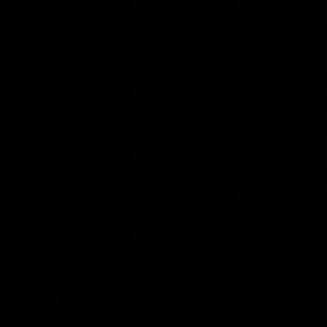 Meet your Posher, Gil